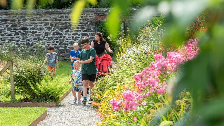 Teulu yn cerdded ar lwybr yn yr ardd furiog yn Llanerchaeron, Ceredigion